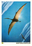 Quetzalcoatlus-card