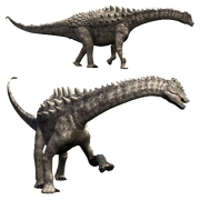 495685 orig.png