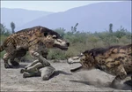 Andrewsarchus4.jpg (68 kB)