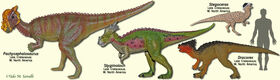 PachycephalosaurModels
