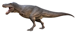 Tyrannosaurus.png