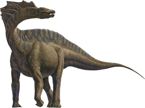 amargasaurus