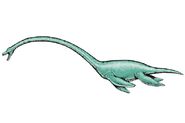 Robert F Walters elasmosaurus