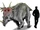 Styracosaurus