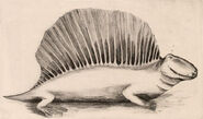 Case Dimetrodon, 1908