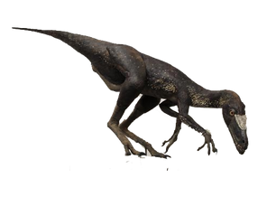5906967 orig.png