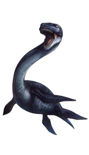 Plesiosaurus