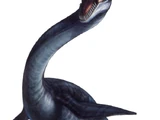 Plesiosaurus