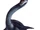 Plesiosaurus