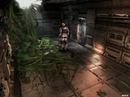 The Jungle overgrowth was strong enough to collapse the roof in places.