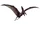 Pteranodon
