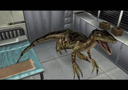 Velociraptor.