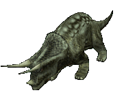 Triceratops