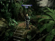 The ladder leads to the next North Route