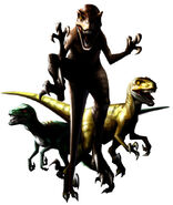 Velociraptor in Dino Stalker