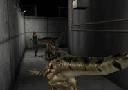 Heliport Passage (5).jpg (16 KB)