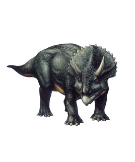 Triceratops-0