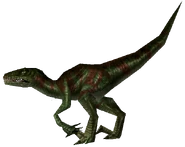Green Raptor render.png (79 KB)