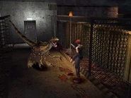 Regina encounters a Velociraptor for the first time