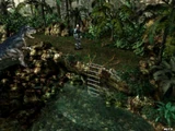 Jungle/Passage to North Route
