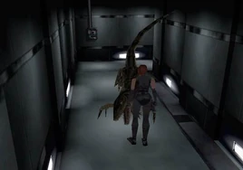 Research Area Hall (2)