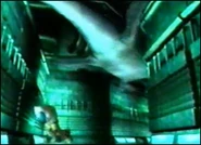 DC PLES1.jpg (27 KB) As you can tell from this picture the Plesiosauruses are BIG!