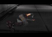 Experiment Room Hall (10).jpg (11 KB)