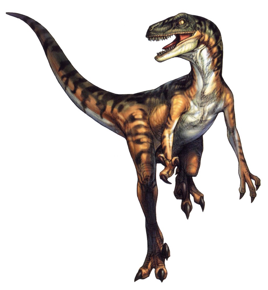 Velociraptor - Wikipedia