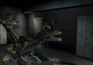 Lockers Room (7).jpg (15 KB) Velociraptor