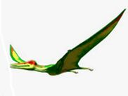 Pterodactylus (1)