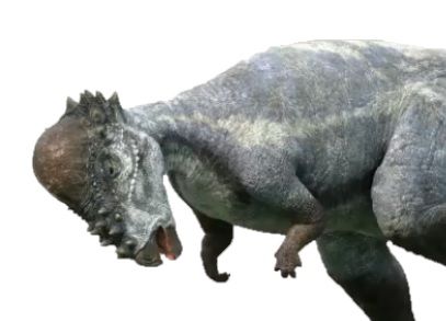 Tyrannosaurus Rex, DinoPedia - The Dino Dan Wiki