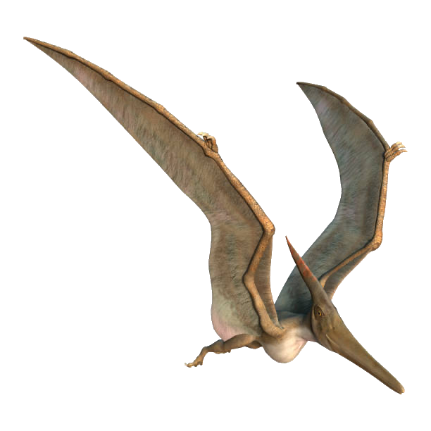 Pteranodon, Dinosaur Wiki