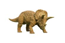 Triceratops