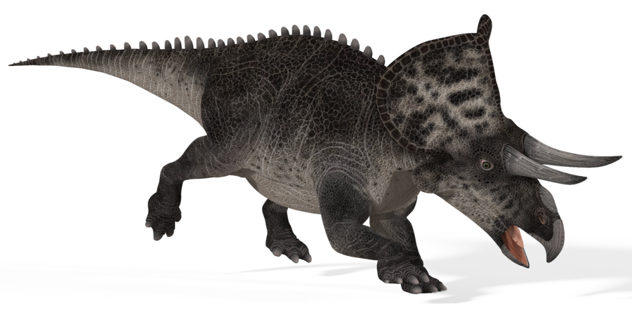 Tyrannosaurus Rex, DinoPedia - The Dino Dan Wiki