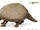 Glyptodon