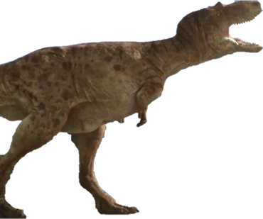 dino dan tyrannosaurus rex