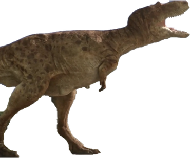 Tyrannosaurus Rex, DinoPedia - The Dino Dan Wiki