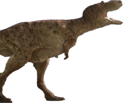 Allosaurus Dinopedia The Dino Dan Wiki Fandom Allosaurus Dinopedia The Dino Dan Wiki Fandom