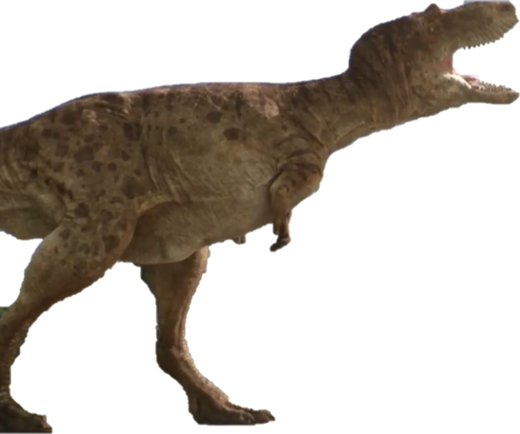 DINOSAURS, DinoPedia - The Dino Dan Wiki