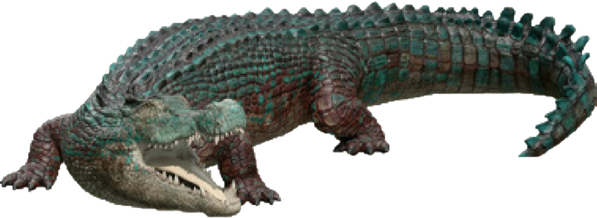 Tyrannosaurus Deinosuchus Crocodile Sarcosuchus Reptile PNG