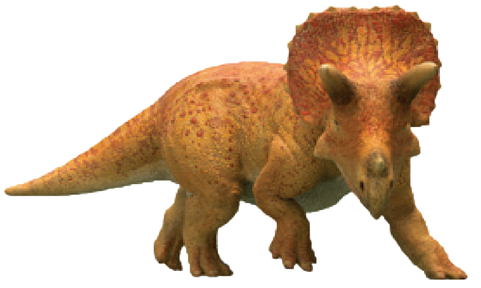 Triceratops - Wikipedia