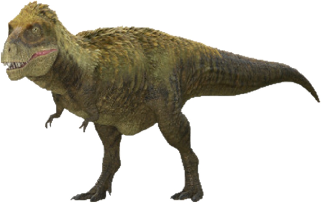 Tyrannosaurus Rex | Dinopedia - The Dino Dan Wiki | Fandom