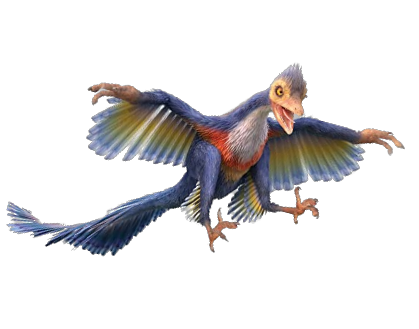 microraptor