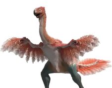 Gigatoraptor