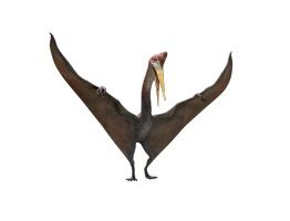 Quetzalcoatlus, Dinopedia