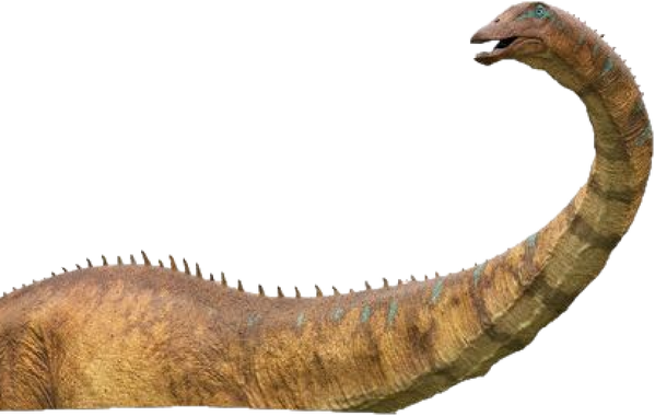 Diplodocus Real