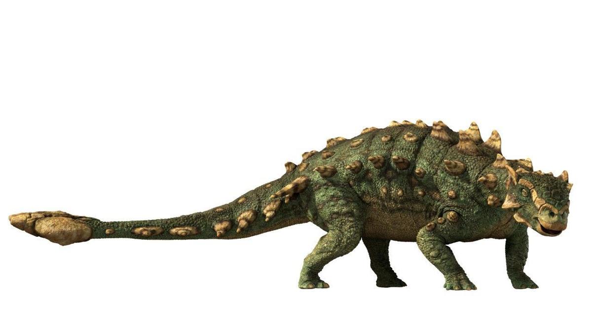 Tyrannosaurus Rex, DinoPedia - The Dino Dan Wiki