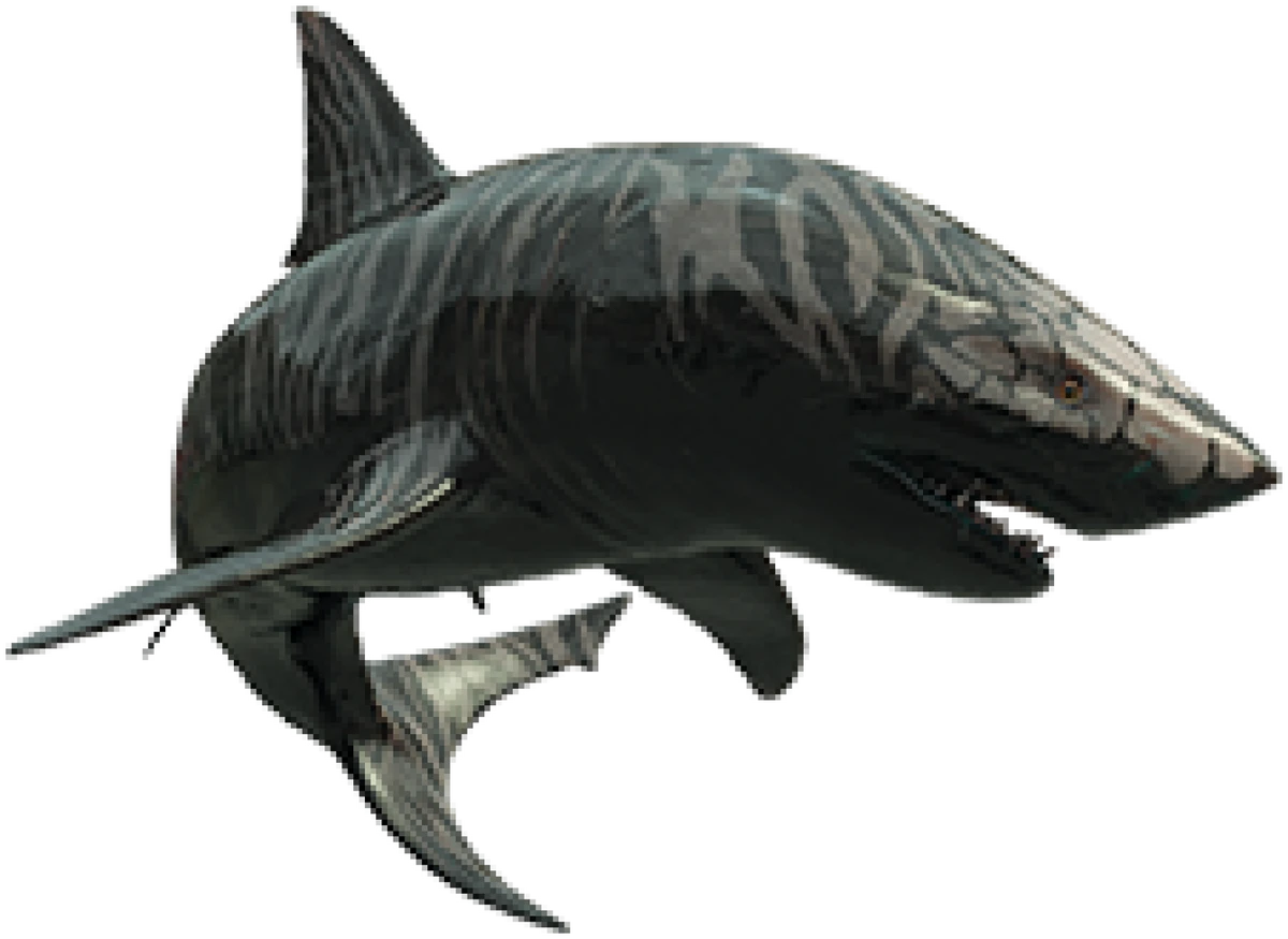 megalodon-dinopedia-the-dino-dan-wiki-fandom