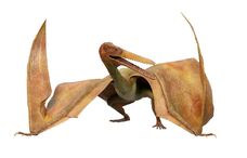 Pterodactyl.jpg