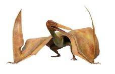 Pterodactyl